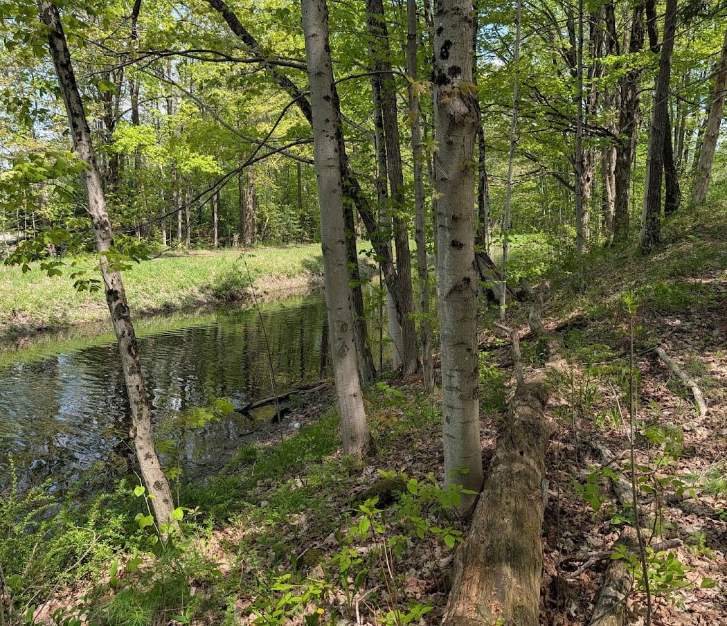 Erwin Park 3