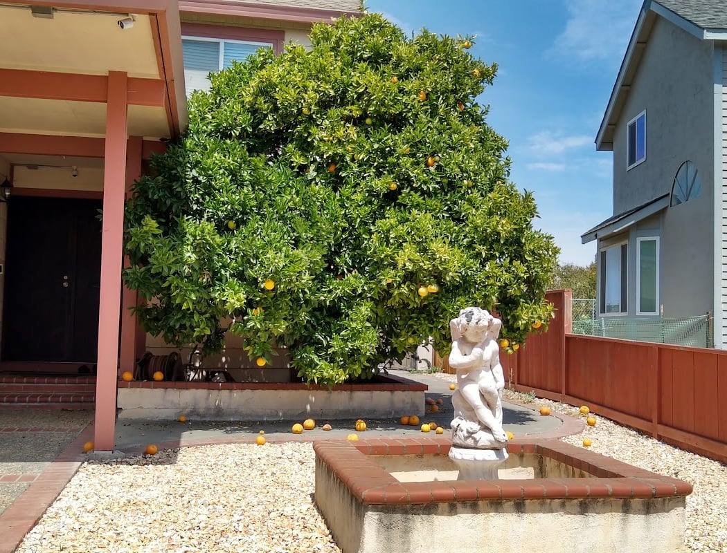 Carquinez Highlands Mobile Home Park 2