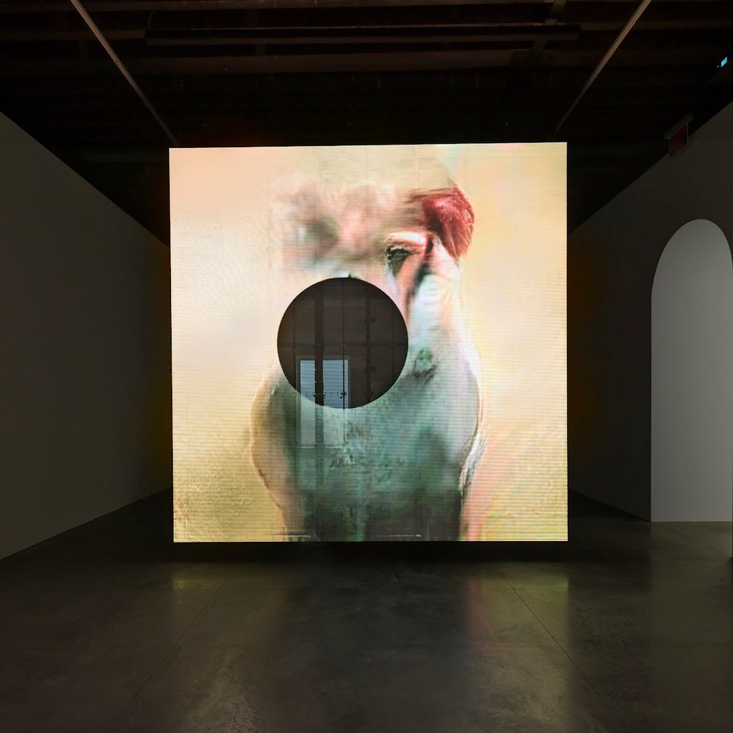 Pierre Huyghe - In Imaginal 1