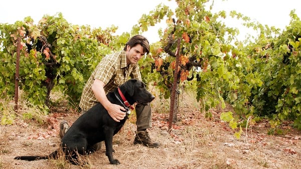 Holiday in Carneros 3