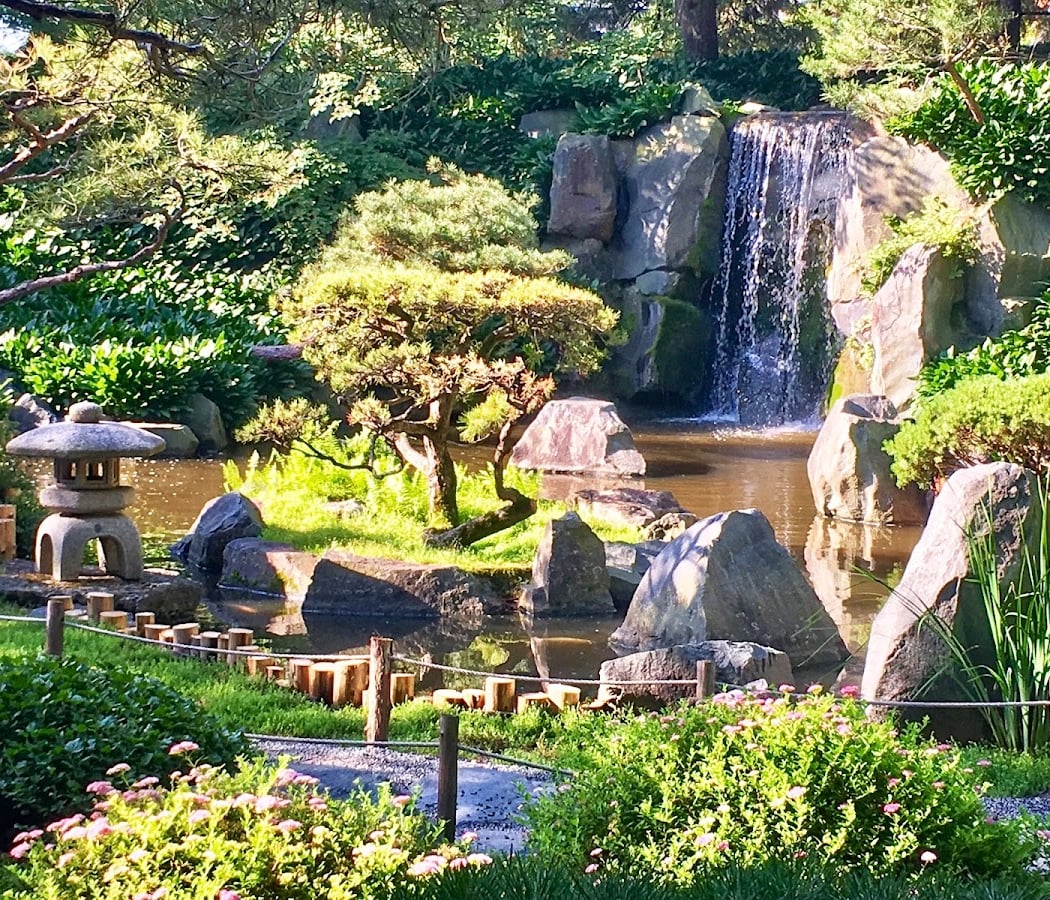 Music in the Garden 3