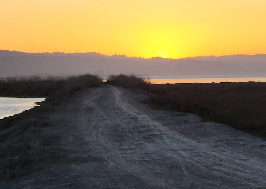 Shoreline Trail 1