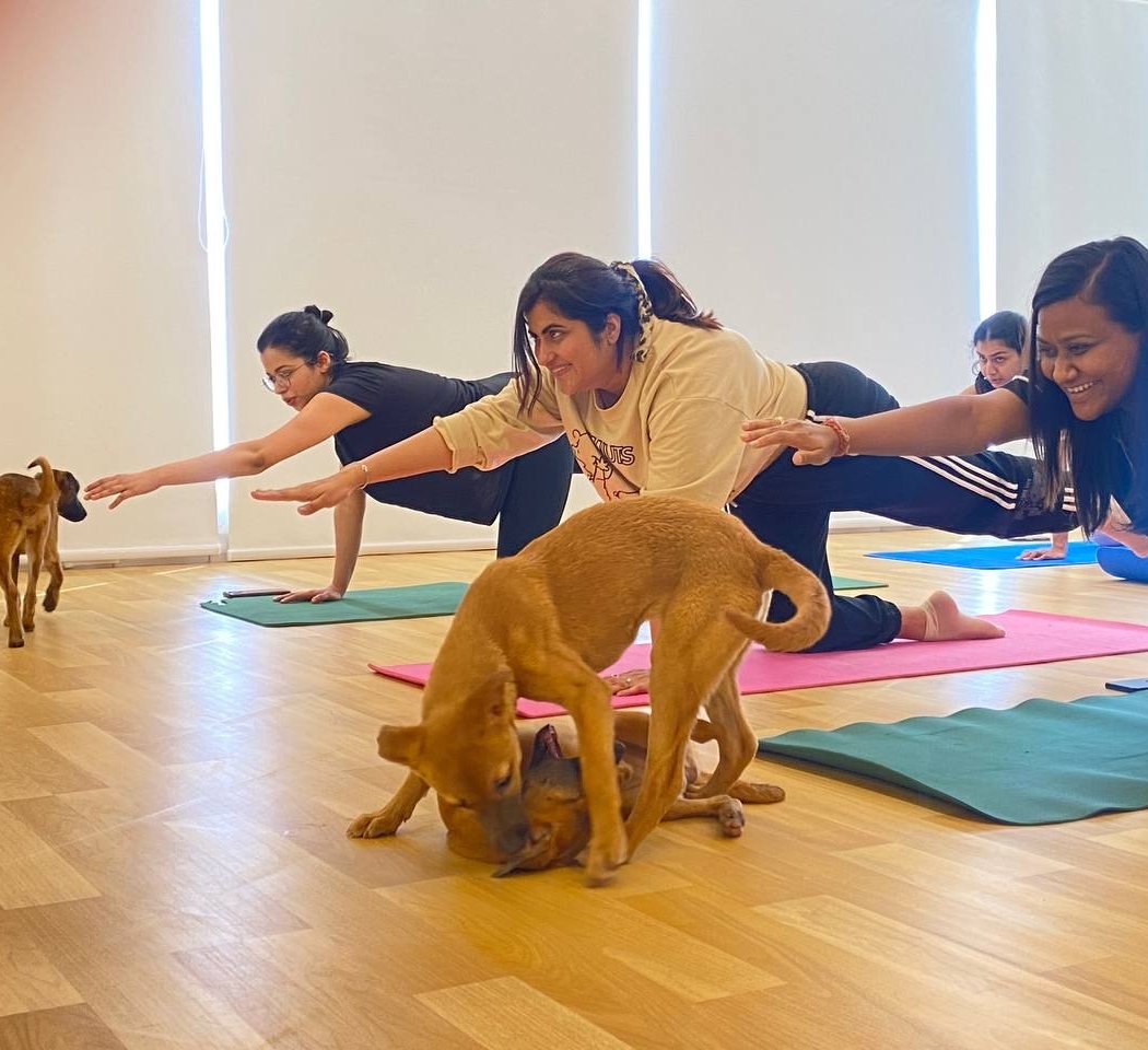 2026 Reset Puppy Yoga 1