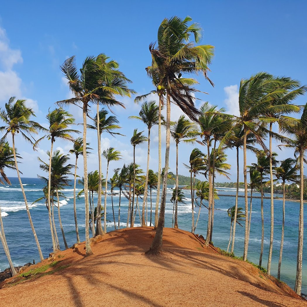 Mirissa Beach 3