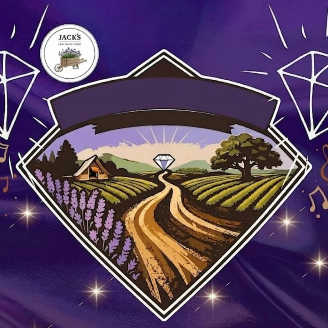 Diamond Road Music Festival 1