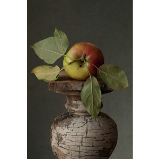 On a Pedestal 1
