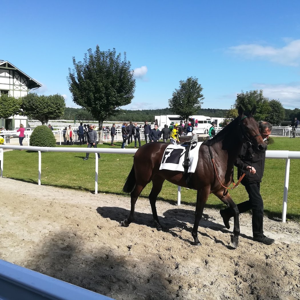 Racecourse of the Solle - Fontainebleau 3