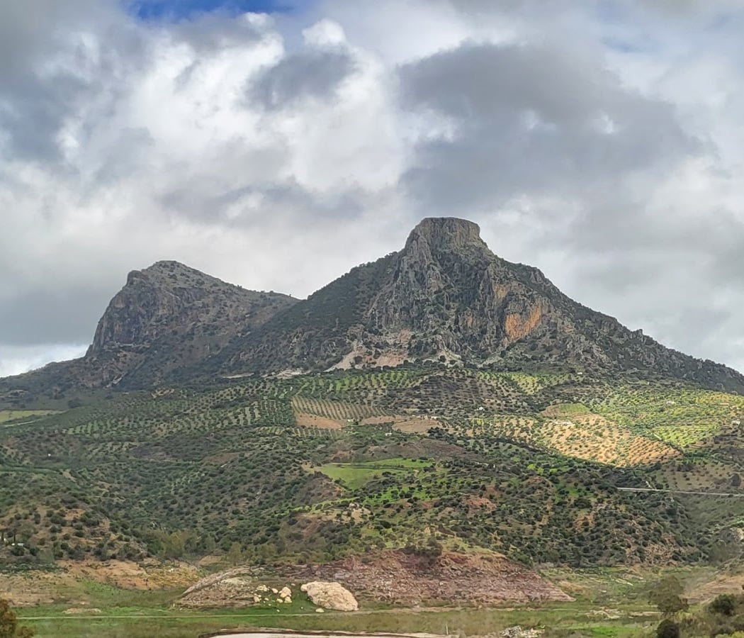 Discovering Andalucia Guided Tours and Excursions 3