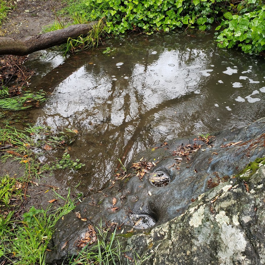 Mira Vista Park 3