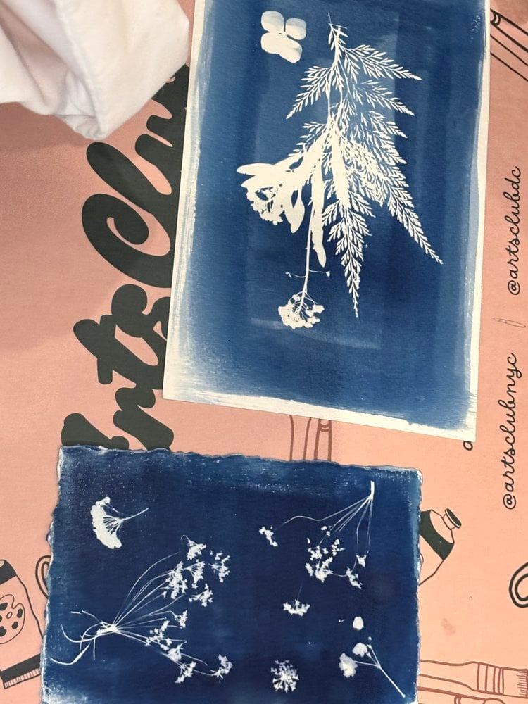 Cyanotypes
