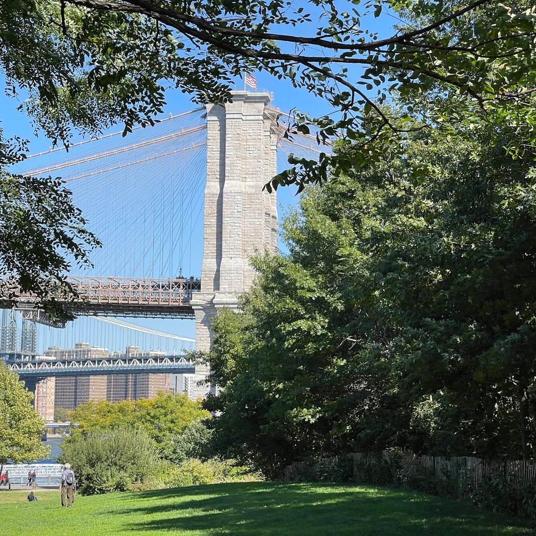 Bridge View Lawn 1