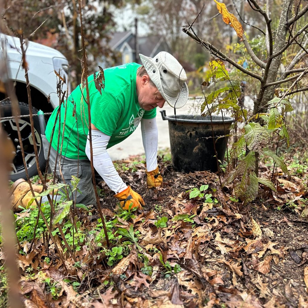 Forest Restoration at Legacy Park 3