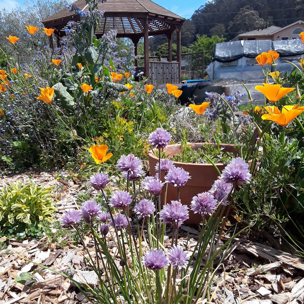 Work Days at Pacifica Gardens 1