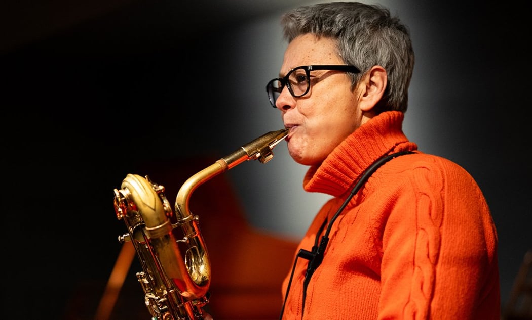 Musicien au Musée - Carole Sauvanet 1