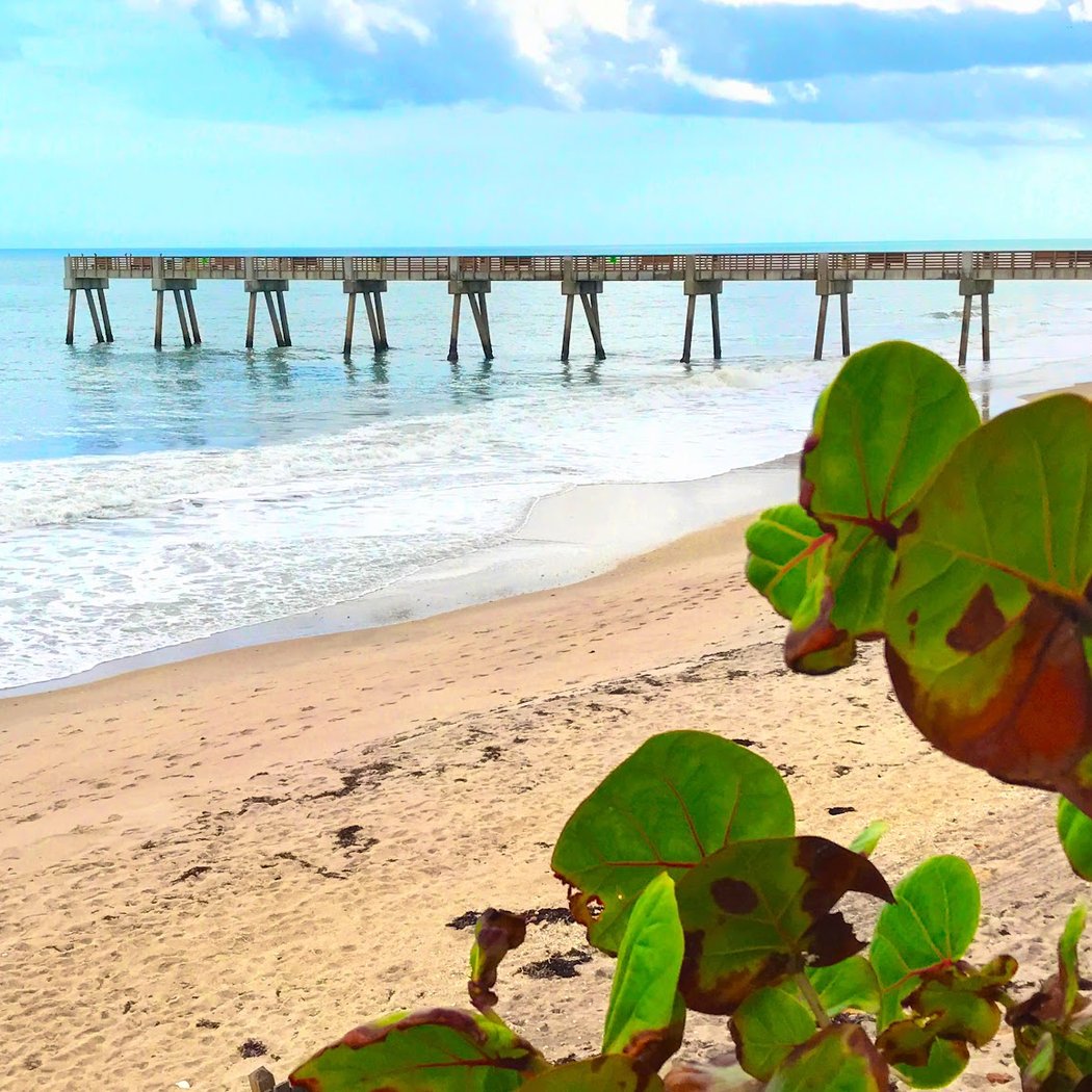Vero Beach 3