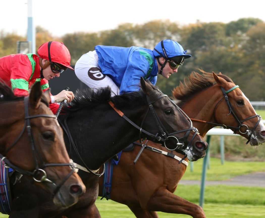 Hippodrome de Pau 1
