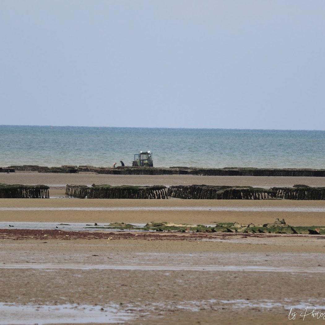 Plage de Meuvaines 3