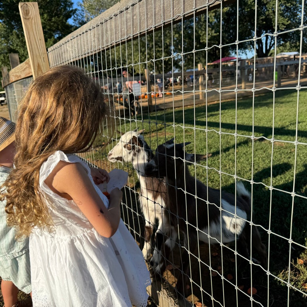 Carm’s Farm 3