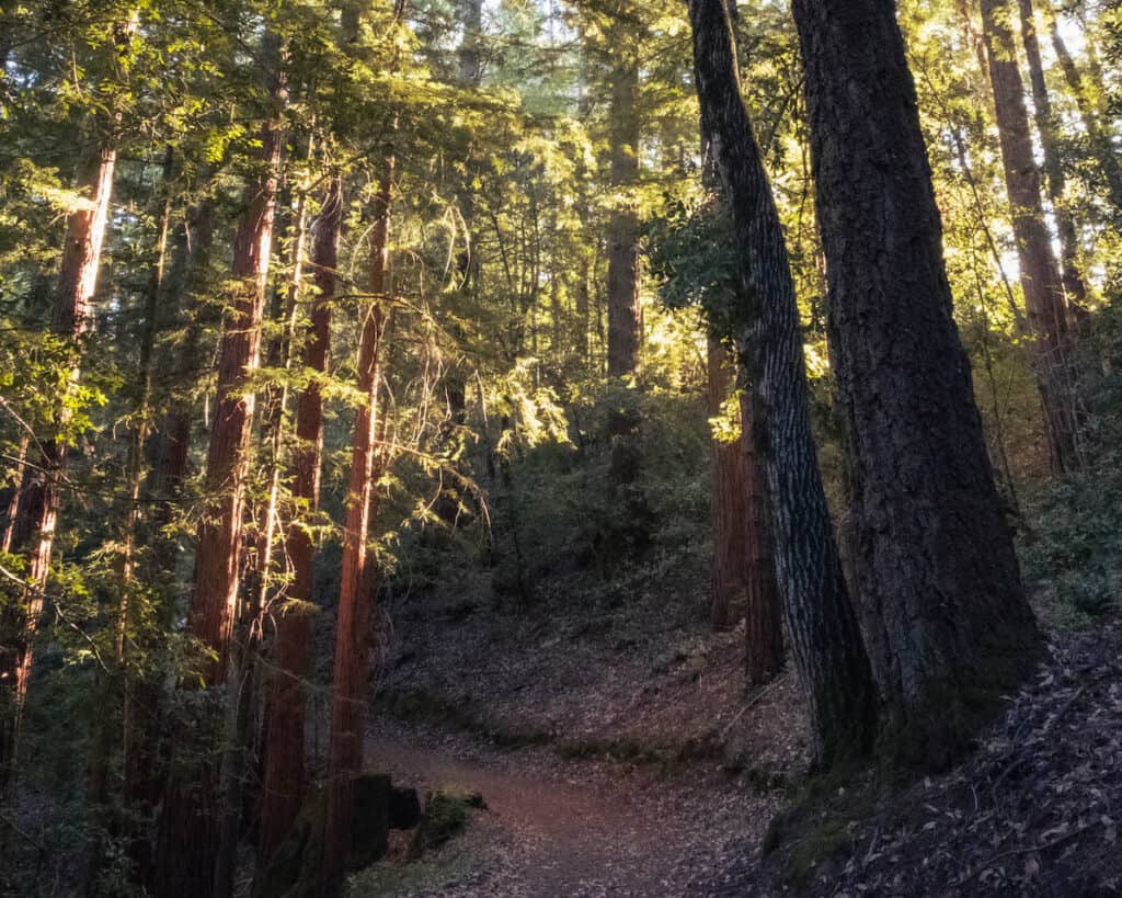 El Corte de Madera Creek Open Space Preserve 1