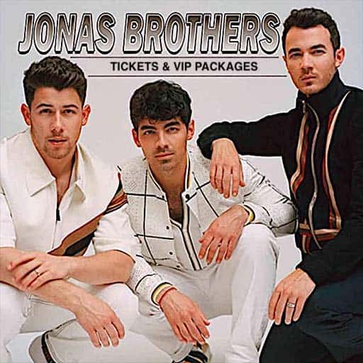 Jonas Brothers Concert 3