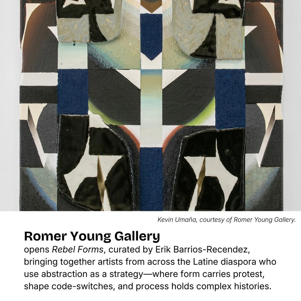 Artist talk for Rebel Forms 1