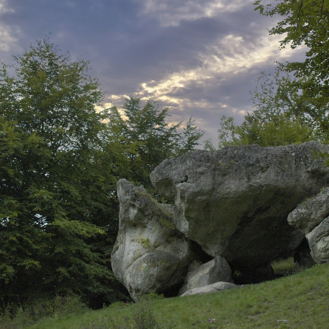 Foret de Saint Gobain 1