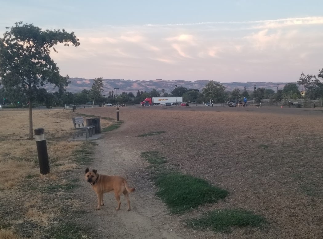 Deer Creek Village Dog Park 2