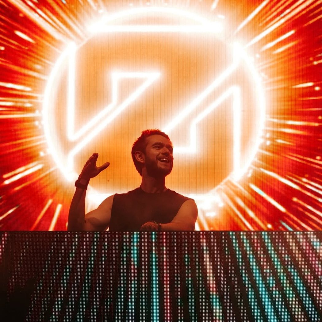 ZEDD IN THE PARK 4