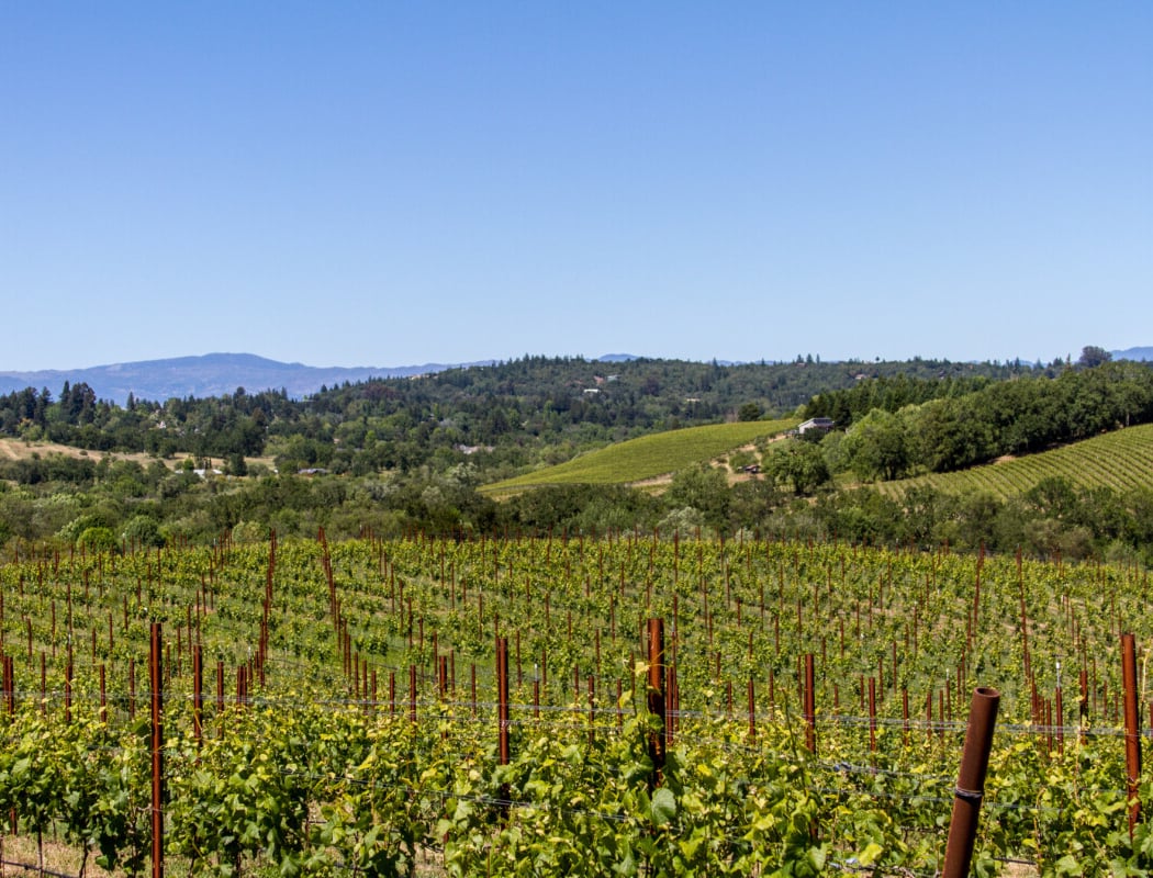 TWOMEY Russian River Valley 3