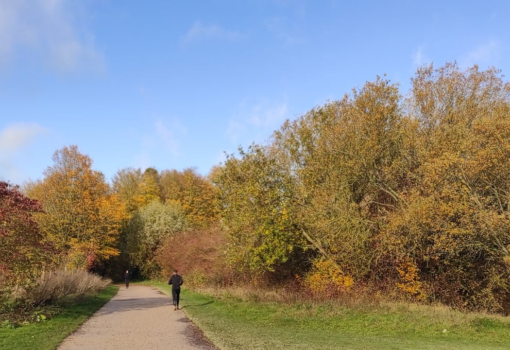 Chemin de randonnée de la Marque 3