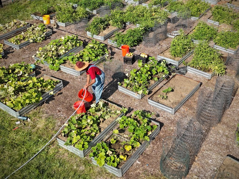 Lawrenceville Organic Community Garden 1