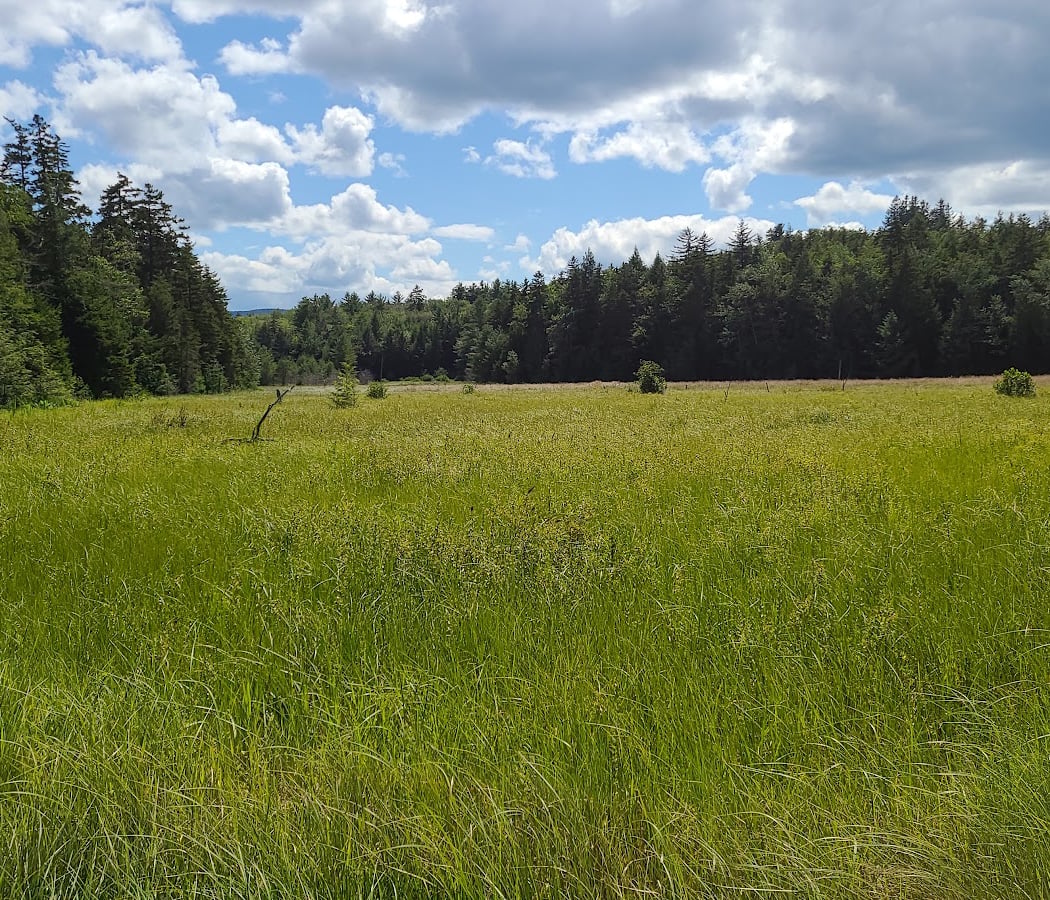 Mountain Top Arboretum 3