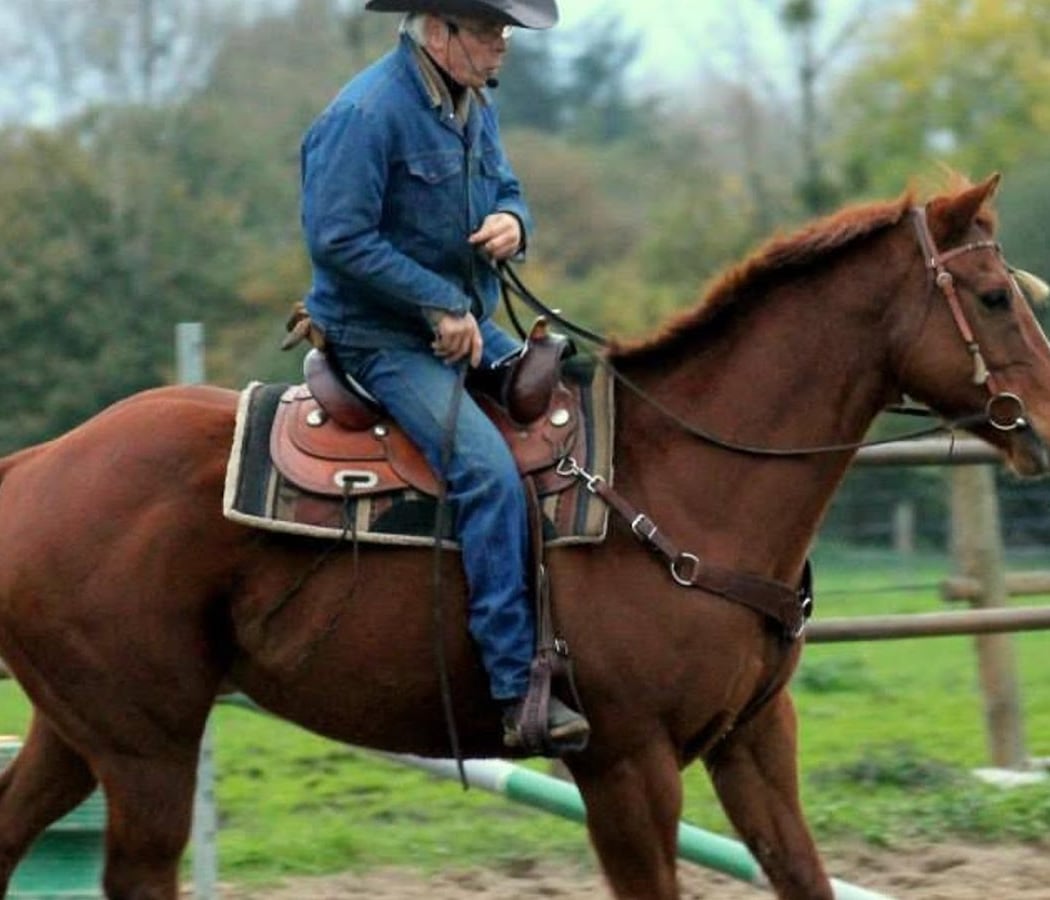 Equestrian Center La Meilleraie 2