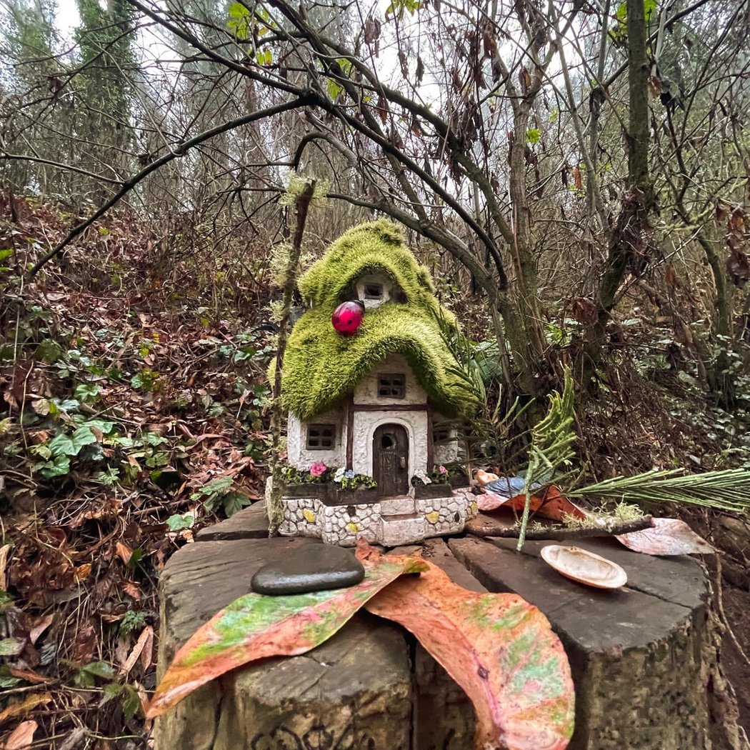 Mount Sutro Open Space Reserve 3