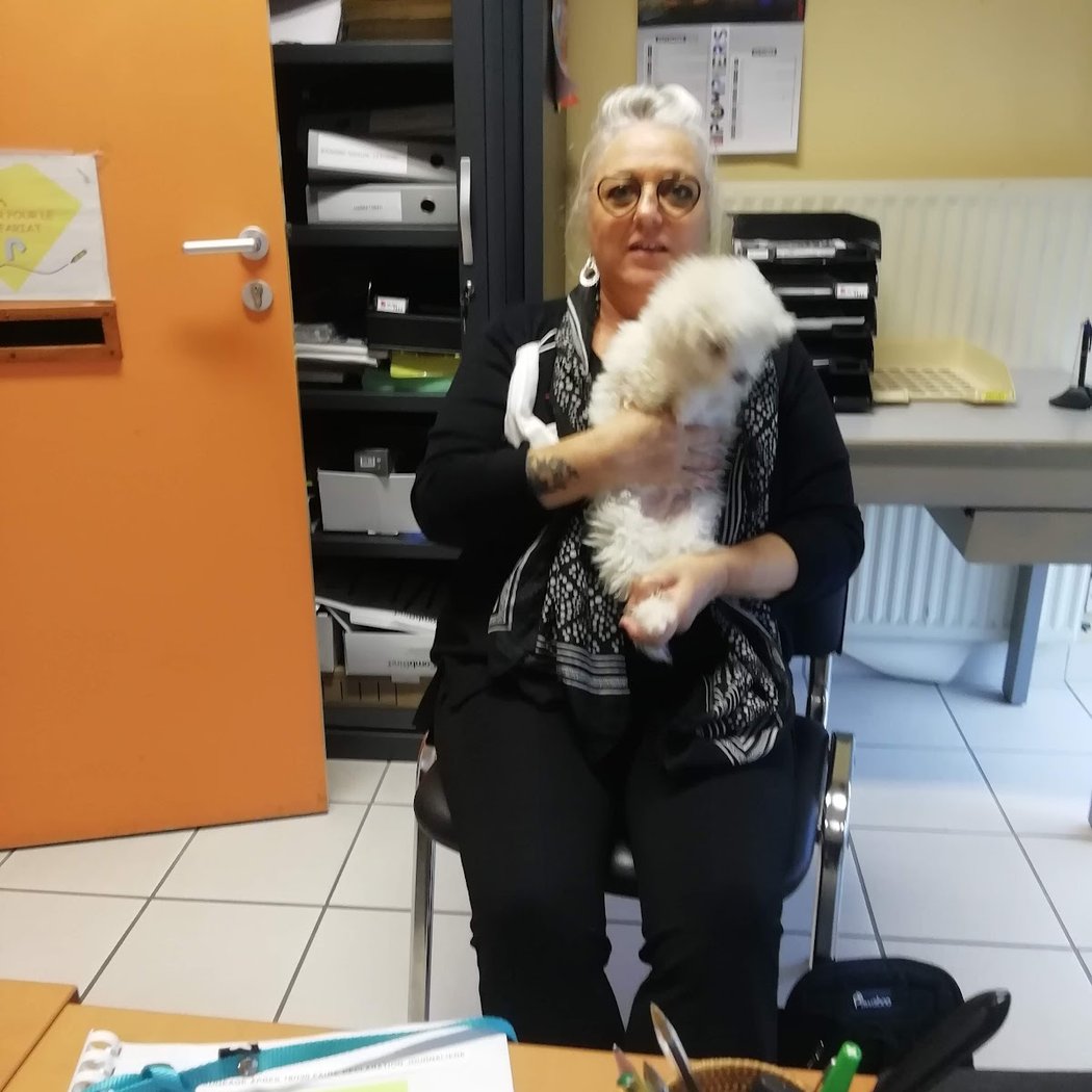 Cabinet vétérinaire Catpatdog du Dr Lisner Pascal à Le Pellerin 2