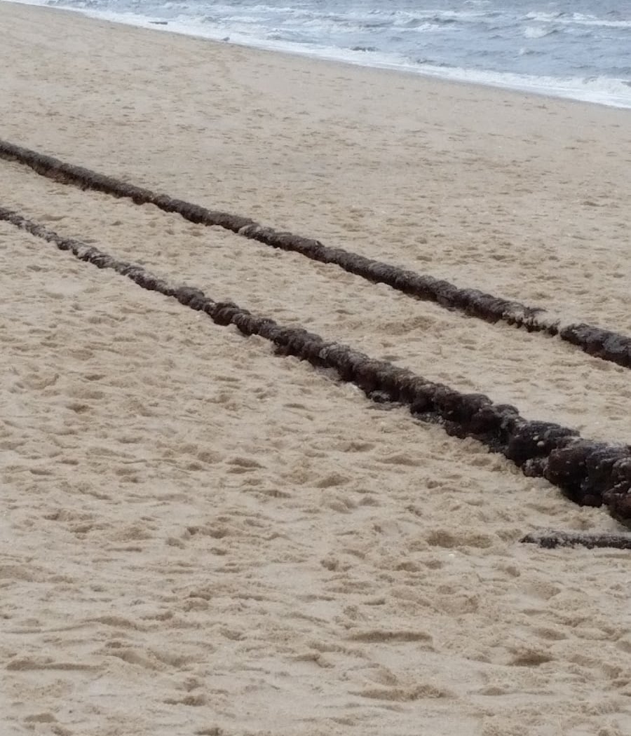 Higbee Beach 4