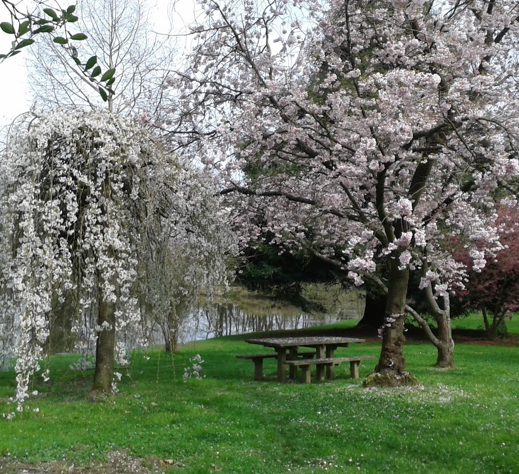 Arboretum 2