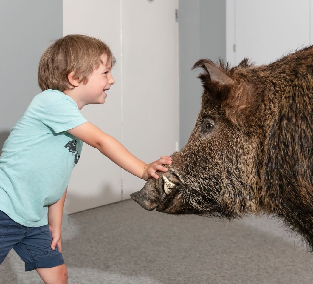 Familienabenteuer 3