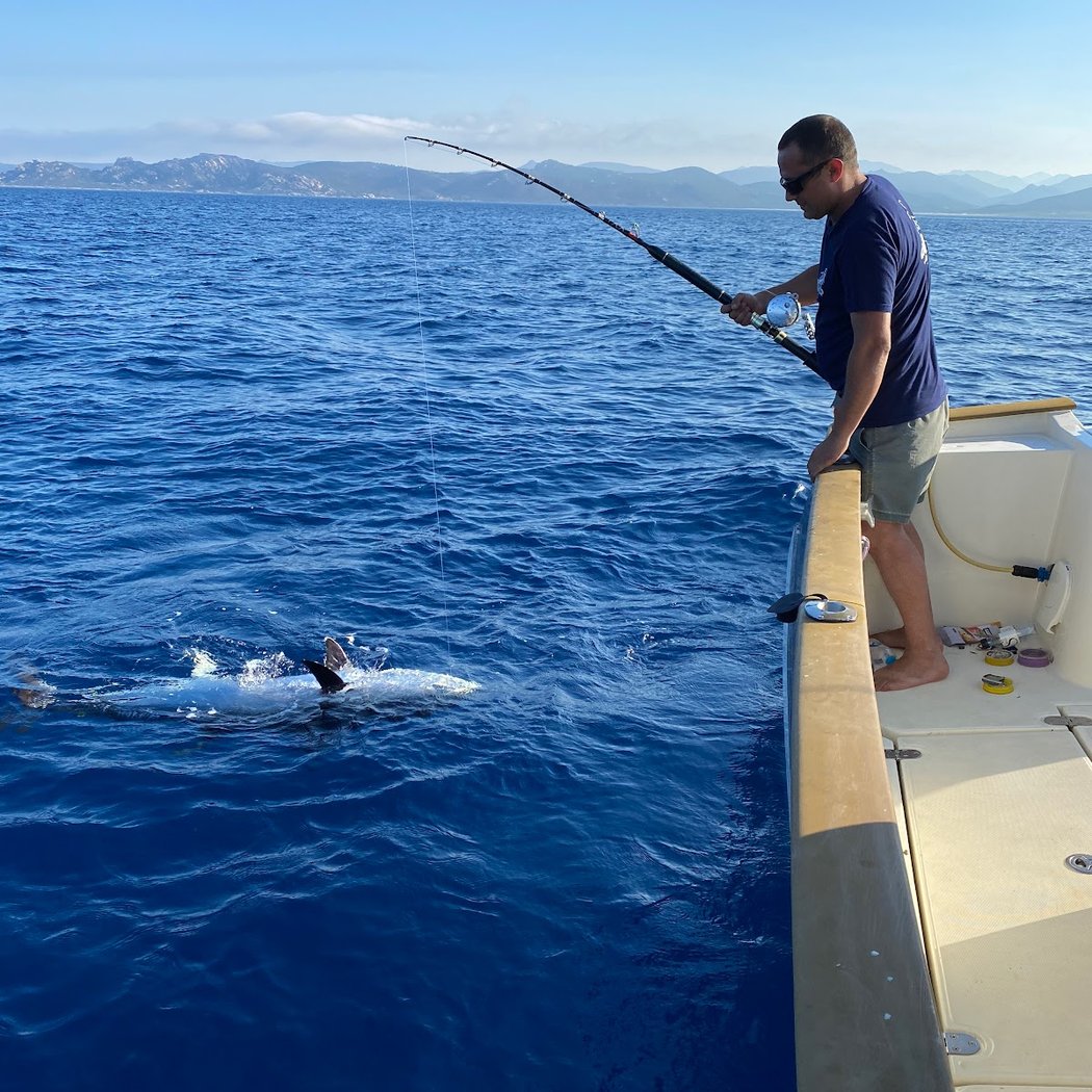 ISULA FISHING 3