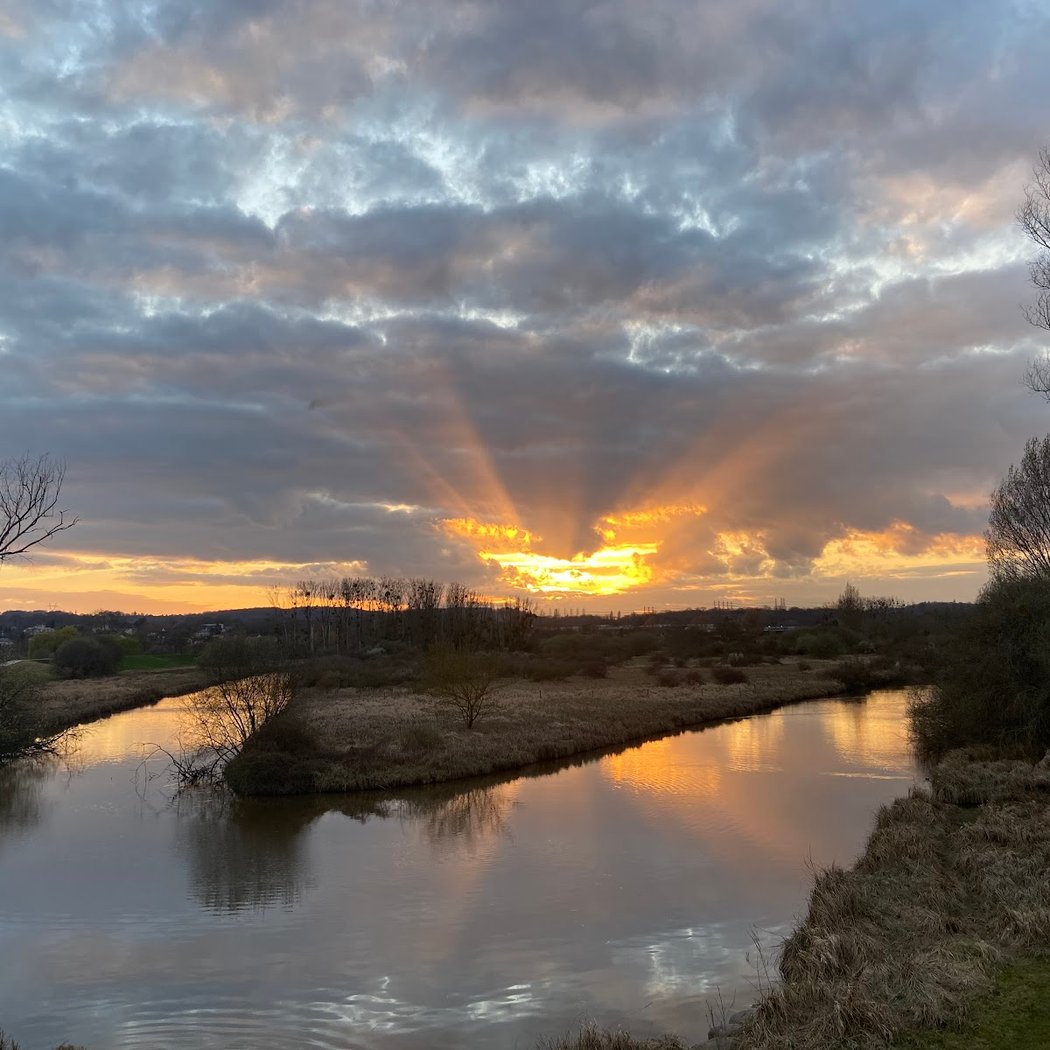 Lac de Saulx-Les-Chartreux 3