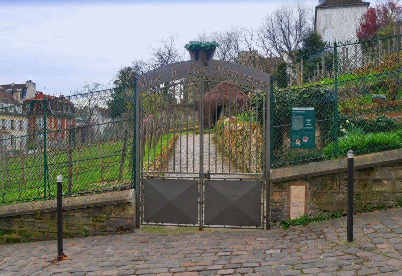 Clos Montmartre 2