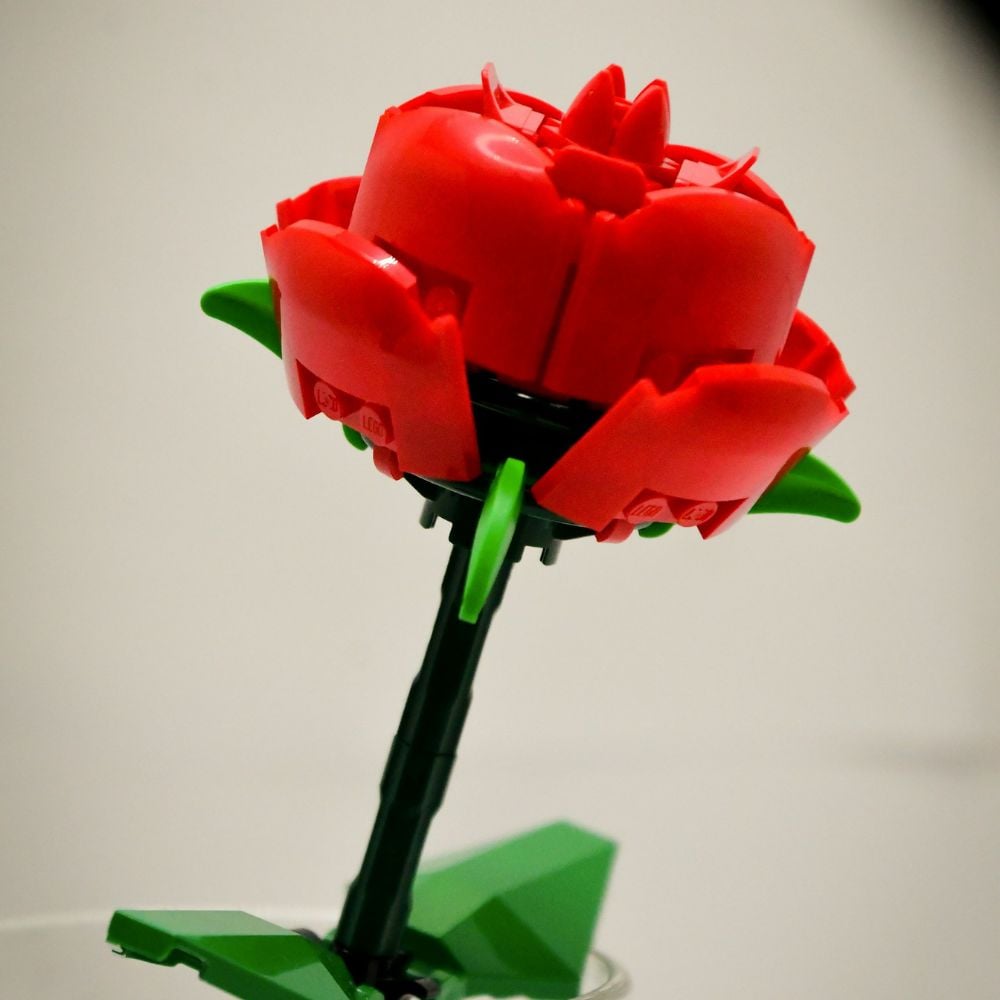 Ateliers LEGO® exclusifs au Flora Danica 1
