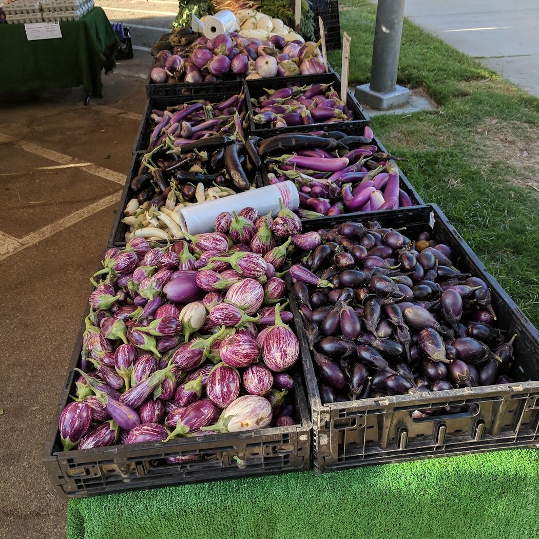 Pasadena Victory Park Farmer's Market 1