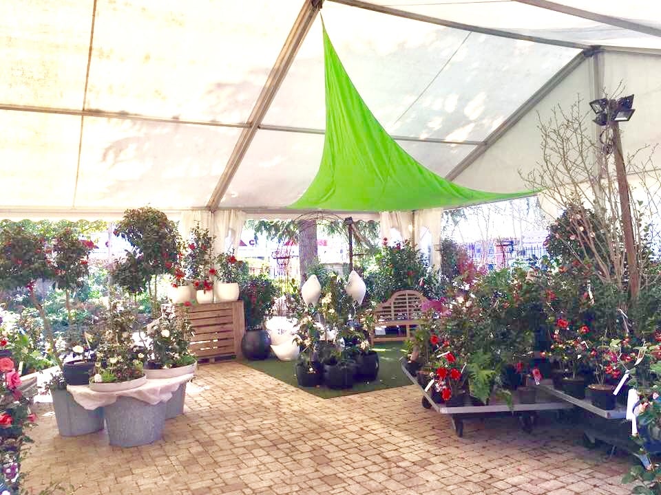 Jardinerie Farrenq 3