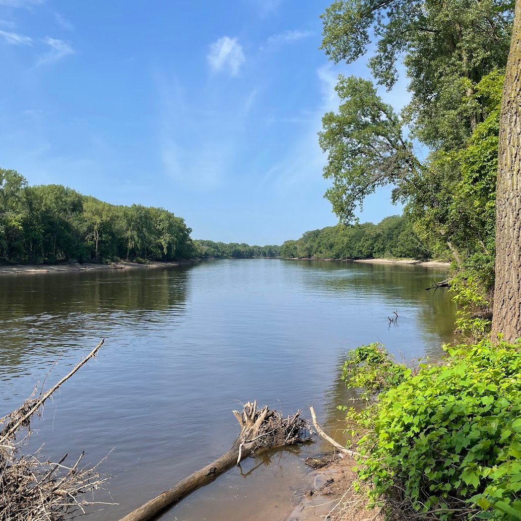 Roots of Resilience: Healthy Forests, Healthy Communities 2