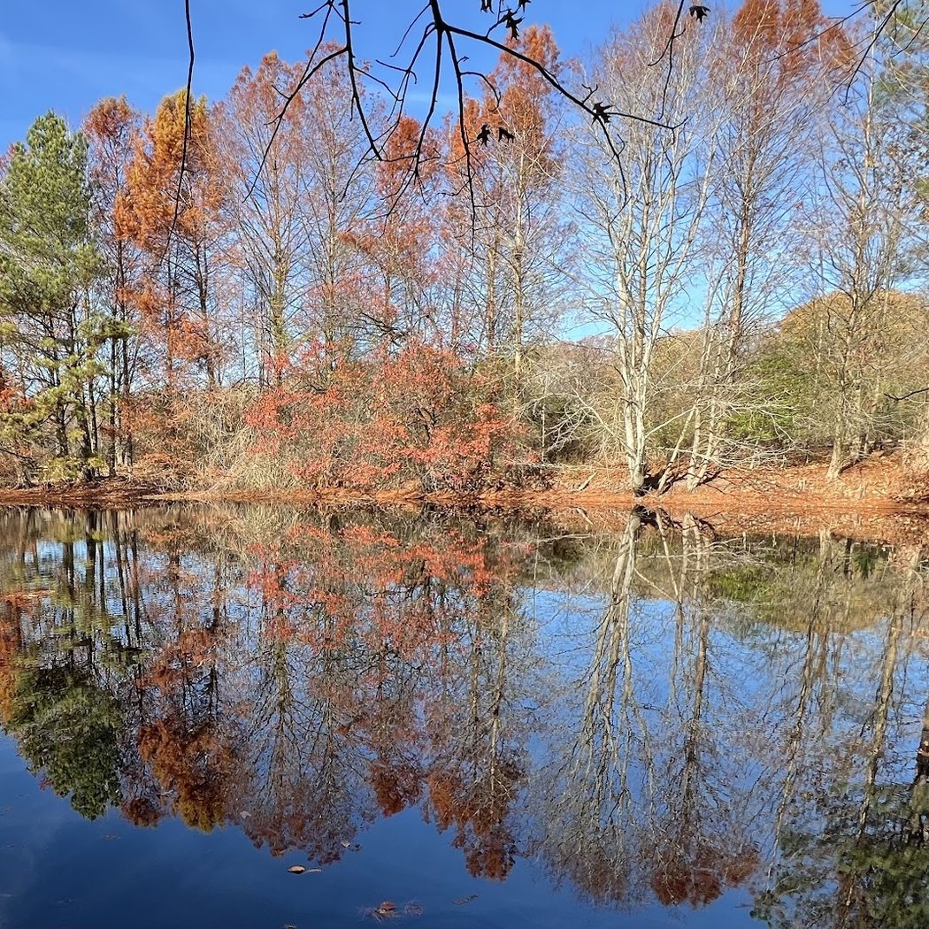 Pickering Creek Audubon Center 3