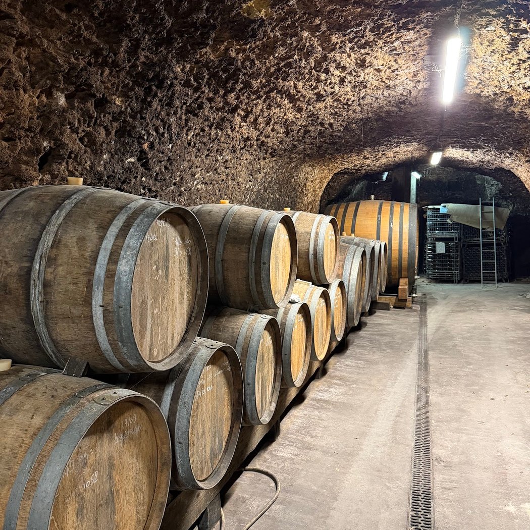 Domaine de la Croix Mélier - Les Terres Turones 1