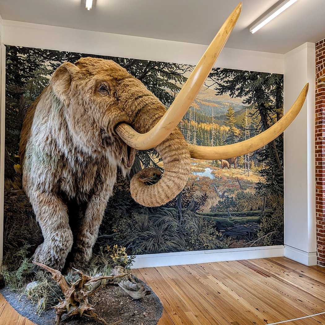 Staten Island Museum 1