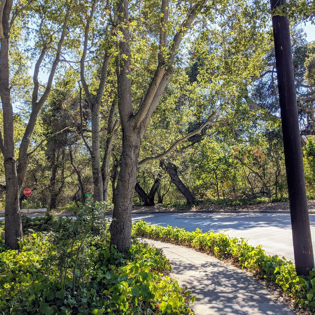 Timothy Hopkins Creekside Park 3