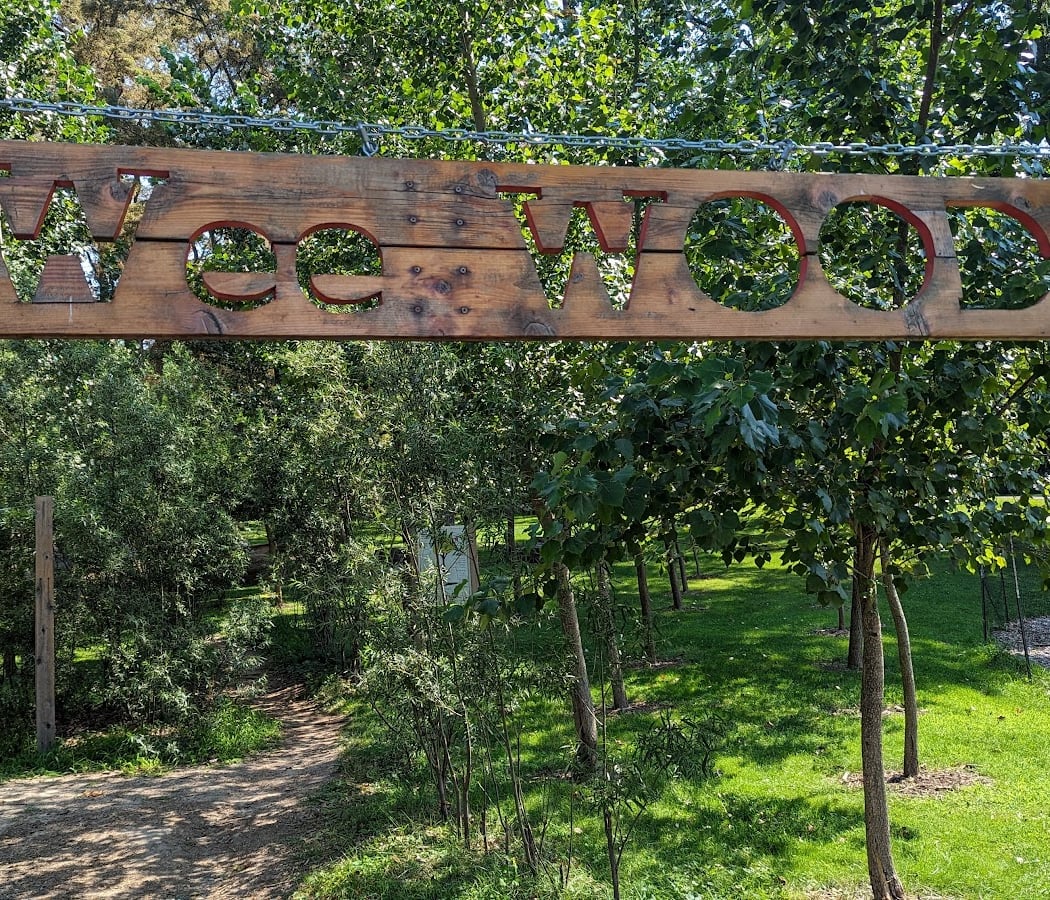 Wee Woods 3